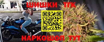 СК Тула