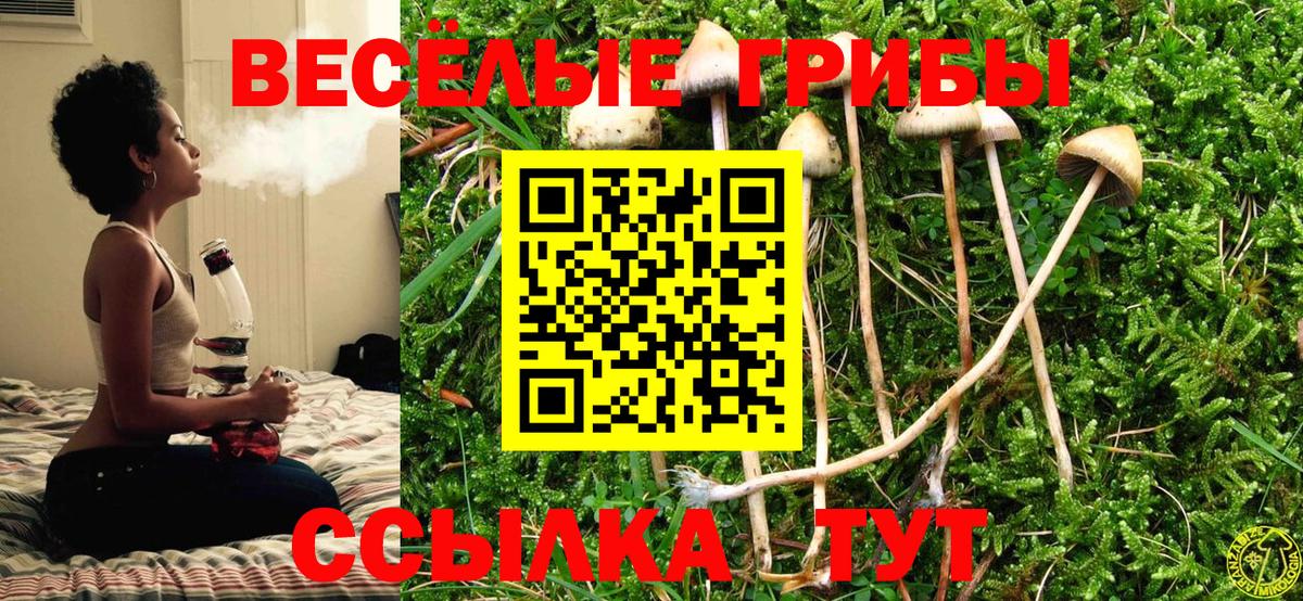 Осинники  Галлюциногенные грибы прущие грибы  Вход с VPN 